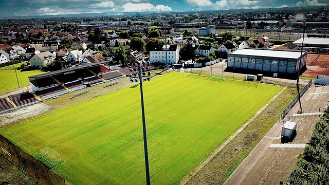 讳地表示 讳地表示