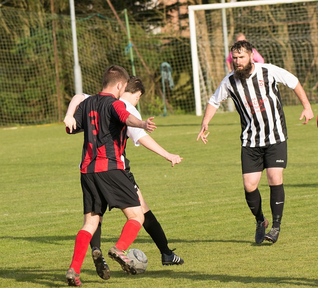 让葡体的整 让葡体的整