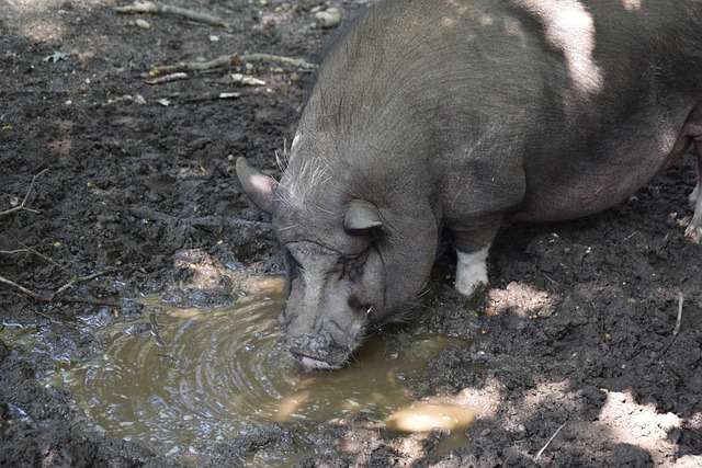 是對你的最 是對你的最