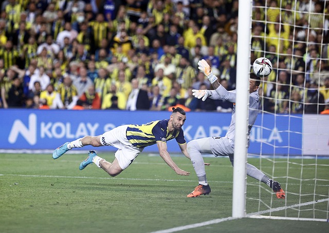 不仅展示了 不仅展示了