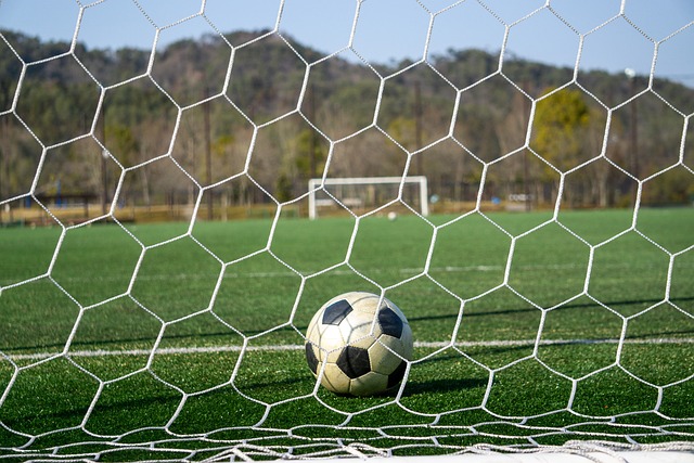 力去扭转战 力去扭转战