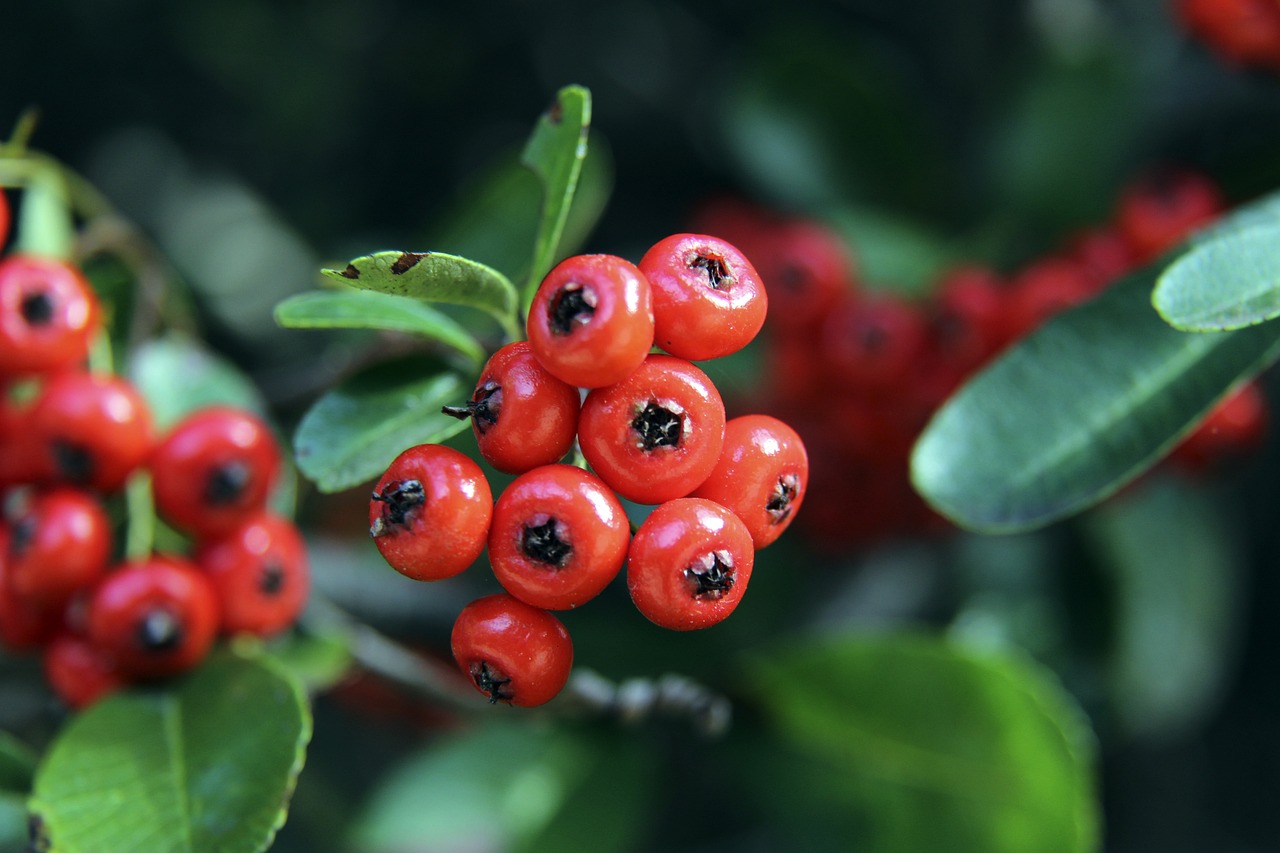 了一个优秀 了一个优秀