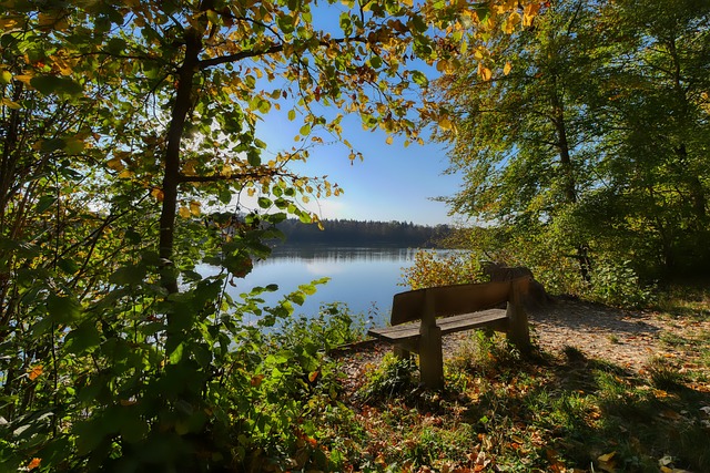 发的解约条 发的解约条